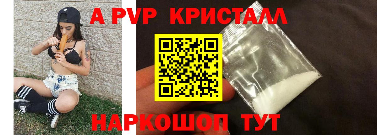 Альфа ПВП СК Ростов-на-Дону