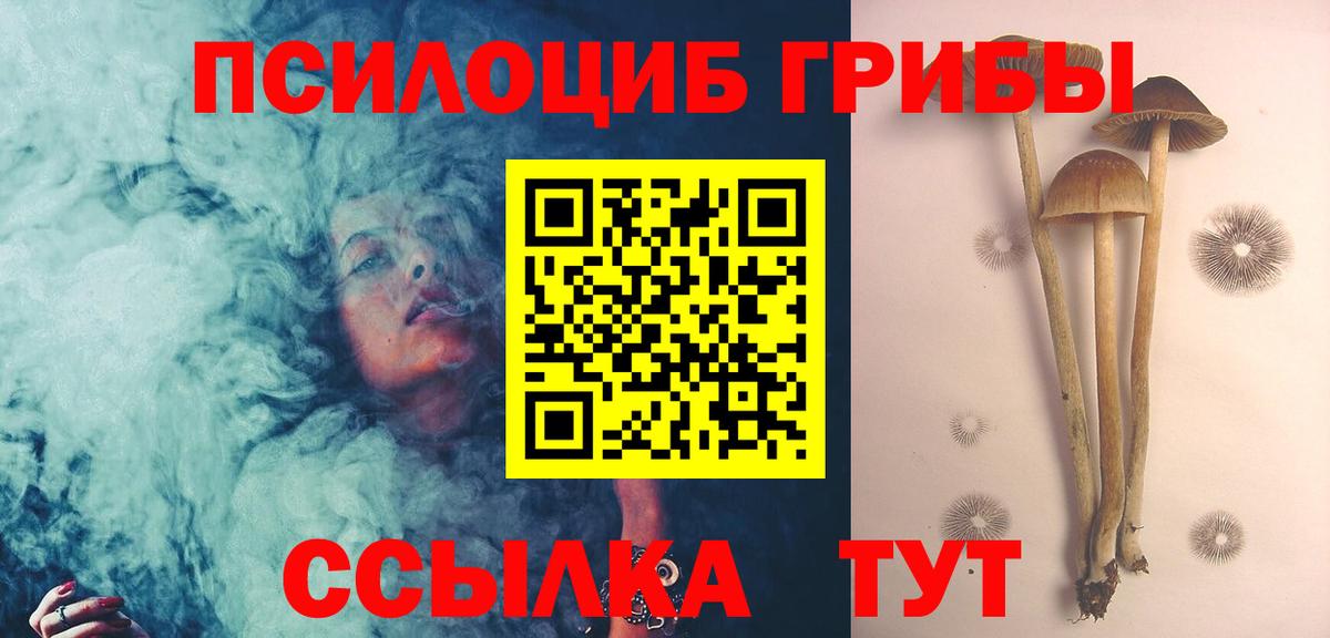 Псилоцибиновые грибы Psilocybe Ростов-на-Дону